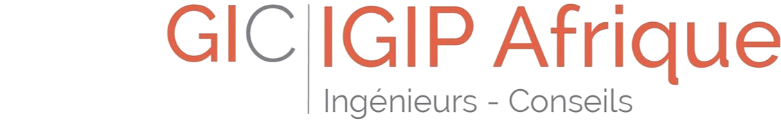 Logo IGIP